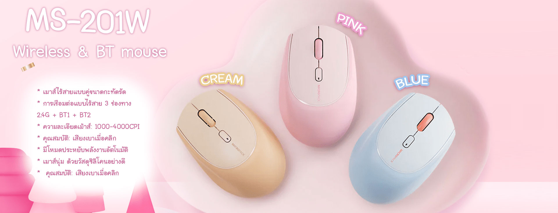 Promotion Sub Banner